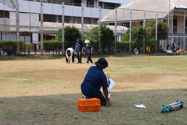 survay (11) survay (11)